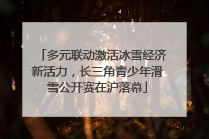 多元联动激活冰雪经济新活力，长三角青少年滑雪公开赛在沪落幕