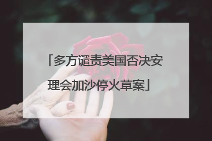 多方谴责美国否决安理会加沙停火草案