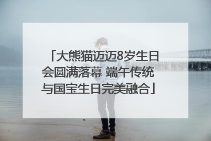 大熊猫迈迈8岁生日会圆满落幕 端午传统与国宝生日完美融合