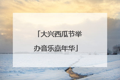 大兴西瓜节举办音乐嘉年华