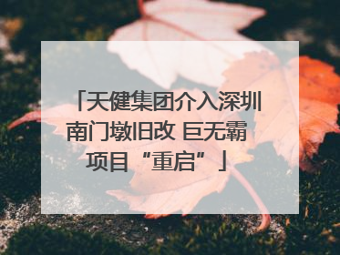 天健集团介入深圳南门墩旧改 巨无霸项目“重启”