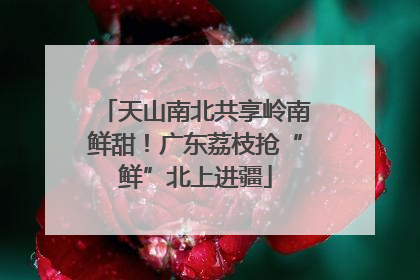 天山南北共享岭南鲜甜！广东荔枝抢“鲜”北上进疆