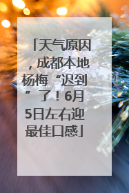 天气原因，成都本地杨梅“迟到”了！6月5日左右迎最佳口感