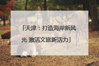 天津：打造海岸新风光 激活文旅新活力
