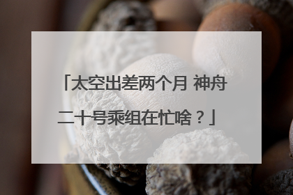 太空出差两个月 神舟二十号乘组在忙啥？