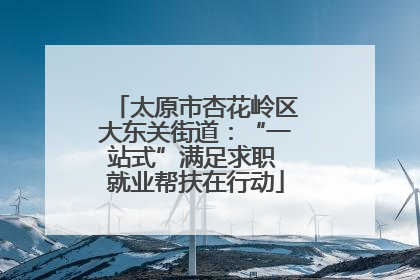 太原市杏花岭区大东关街道：“一站式”满足求职 就业帮扶在行动