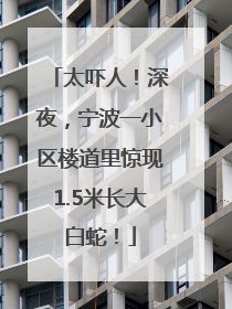 太吓人！深夜，宁波一小区楼道里惊现1.5米长大白蛇！
