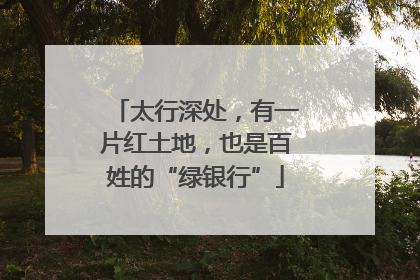 太行深处，有一片红土地，也是百姓的“绿银行”