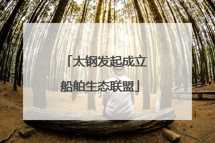 太钢发起成立船舶生态联盟
