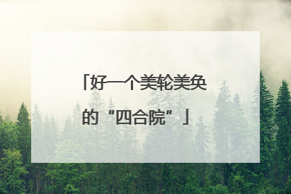 好一个美轮美奂的“四合院”