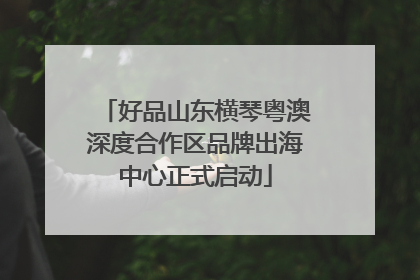 好品山东横琴粤澳深度合作区品牌出海中心正式启动
