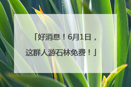 好消息！6月1日，这群人游石林免费！