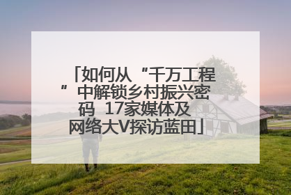 如何从“千万工程”中解锁乡村振兴密码  17家媒体及网络大V探访蓝田