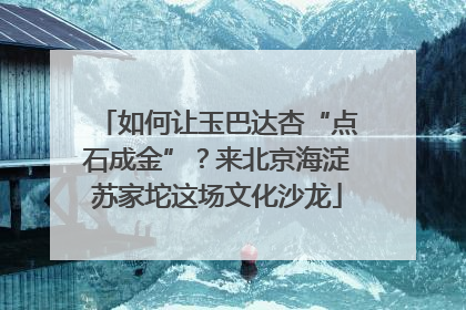 如何让玉巴达杏“点石成金”？来北京海淀苏家坨这场文化沙龙