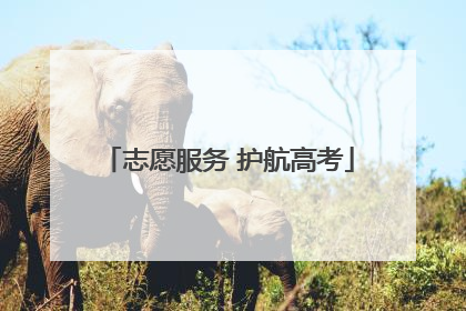 志愿服务 护航高考