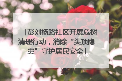 彭刘杨路社区开展危树清理行动，消除“头顶隐患”守护居民安全
