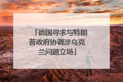 德国寻求与特朗普政府协调涉乌克兰问题立场