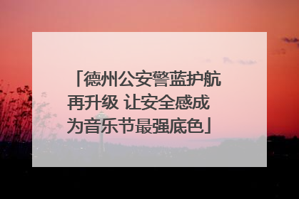 德州公安警蓝护航再升级 让安全感成为音乐节最强底色