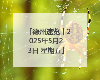 德州速览丨2025年5月23日 星期五