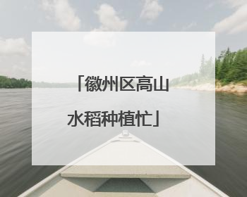 徽州区高山水稻种植忙