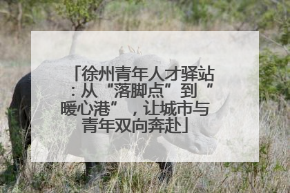 徐州青年人才驿站：从“落脚点”到“暖心港”，让城市与青年双向奔赴