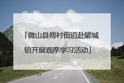 微山县傅村街道赴驩城镇开展观摩学习活动