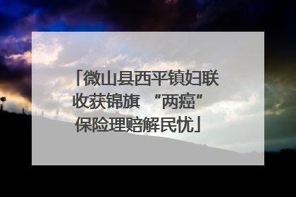 微山县西平镇妇联收获锦旗 “两癌”保险理赔解民忧