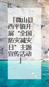 微山县西平镇开展“全国防灾减灾日”主题宣传活动