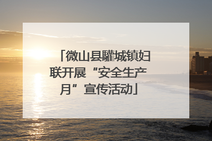 微山县驩城镇妇联开展“安全生产月”宣传活动