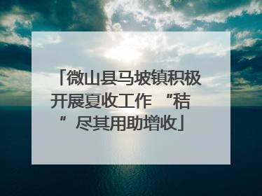 微山县马坡镇积极开展夏收工作 “秸”尽其用助增收