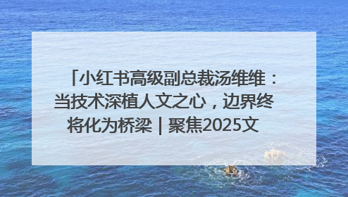 小红书高级副总裁汤维维：当技术深植人文之心，边界终将化为桥梁｜聚焦2025文化强国建设高峰论坛