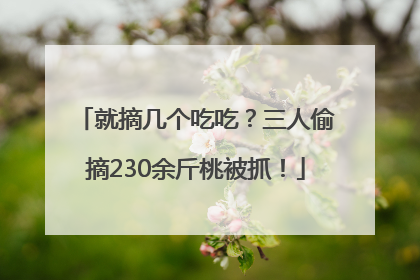 就摘几个吃吃？三人偷摘230余斤桃被抓！