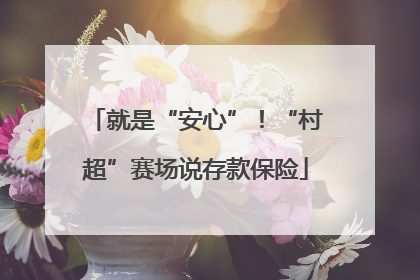 就是“安心”！“村超”赛场说存款保险