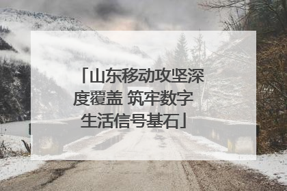 山东移动攻坚深度覆盖 筑牢数字生活信号基石