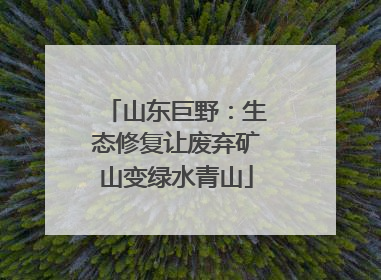 山东巨野：生态修复让废弃矿山变绿水青山