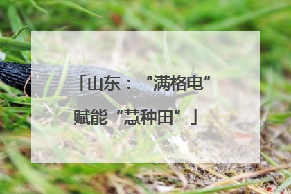 山东：“满格电”赋能“慧种田”