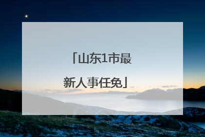 山东1市最新人事任免