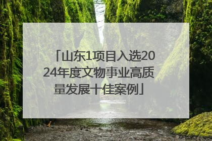山东1项目入选2024年度文物事业高质量发展十佳案例
