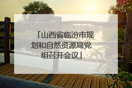 山西省临汾市规划和自然资源局党组召开会议