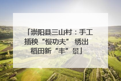 崇阳县三山村：手工插秧“慢功夫” 绣出稻田新“丰”景