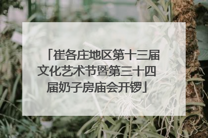 崔各庄地区第十三届文化艺术节暨第三十四届奶子房庙会开锣