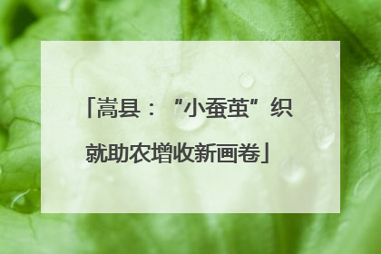 嵩县：“小蚕茧”织就助农增收新画卷