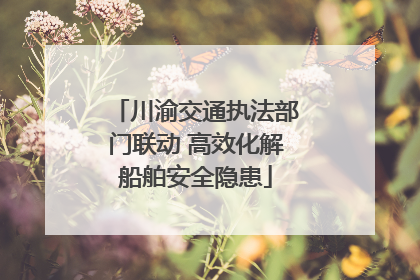 川渝交通执法部门联动 高效化解船舶安全隐患