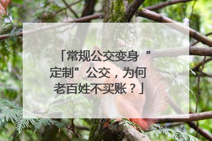 常规公交变身“定制”公交，为何老百姓不买账？