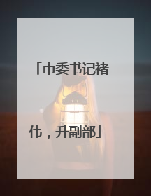 市委书记褚伟，升副部