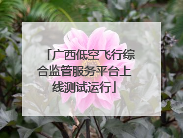广西低空飞行综合监管服务平台上线测试运行
