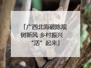 广西北海破陈规树新风 乡村振兴“活”起来