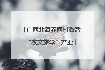 广西北海赤西村激活“农文旅学”产业
