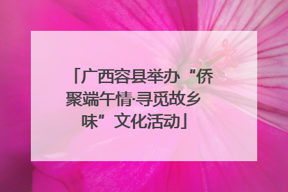 广西容县举办“侨聚端午情·寻觅故乡味”文化活动