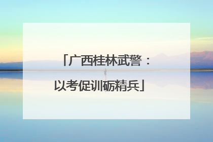 广西桂林武警：以考促训砺精兵